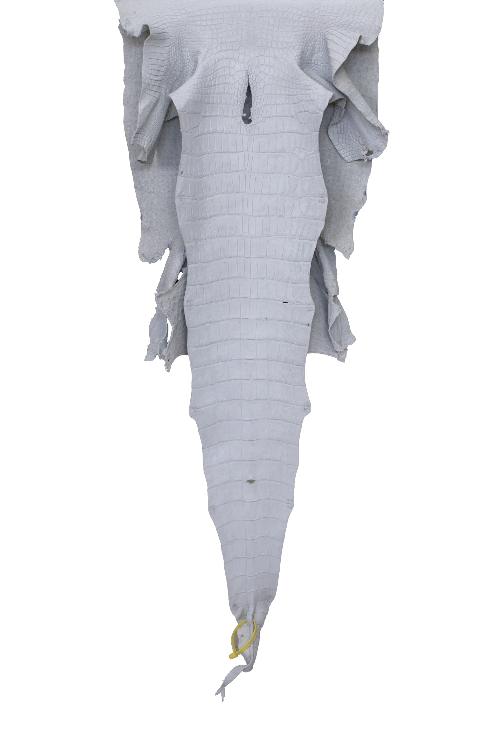 46 cm Grade 4/5 White Matte Wild American Alligator Leather - Tag: LA22-0021516