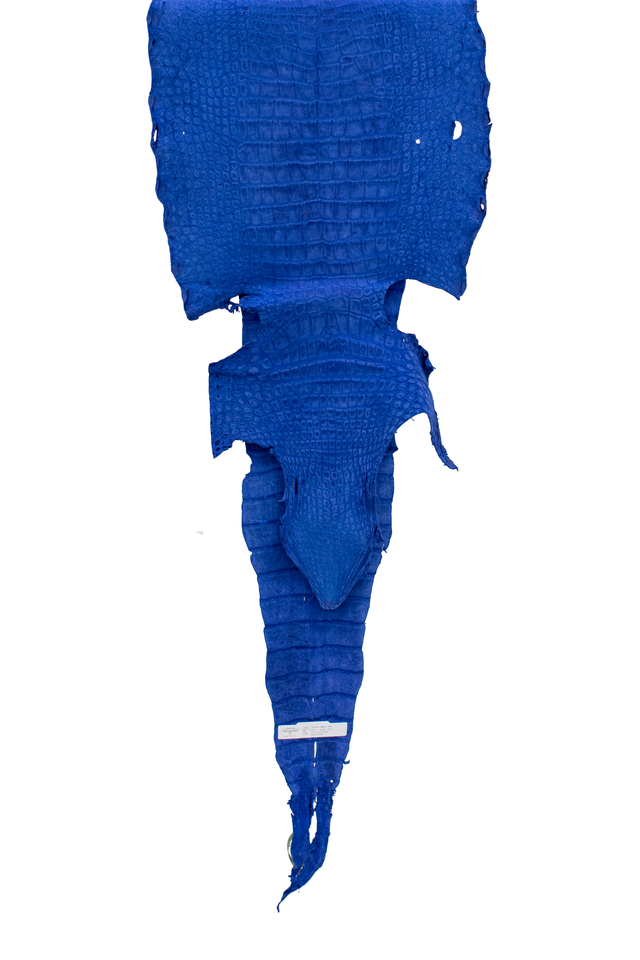 44 cm Grade 3/4 Navy Blue Nubuck Wild American Alligator Leather - Tag: LA22-0021549