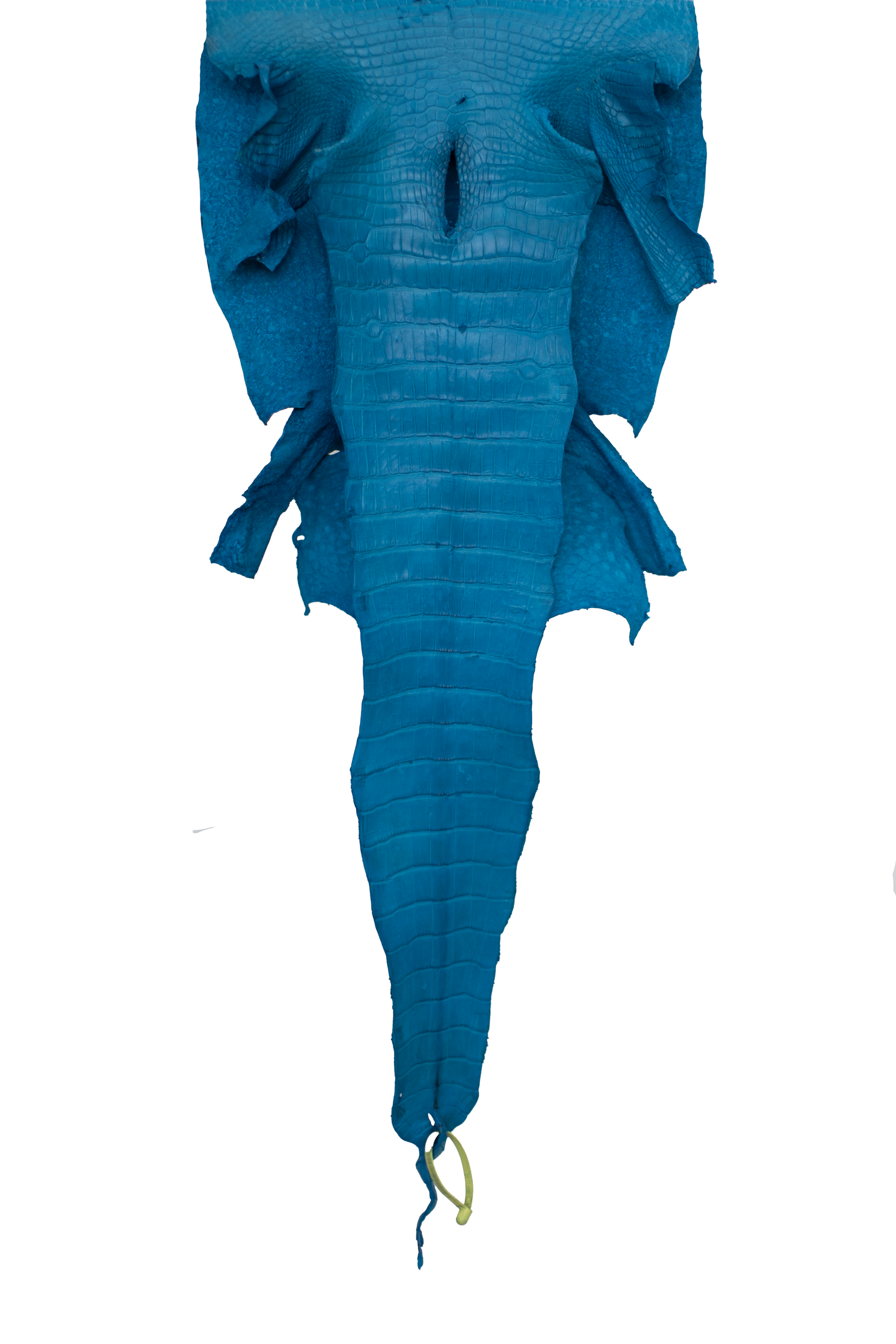 42 cm Grade 3/4 Ultramarine Matte Wild American Alligator Leather - Tag: LA22-0021594