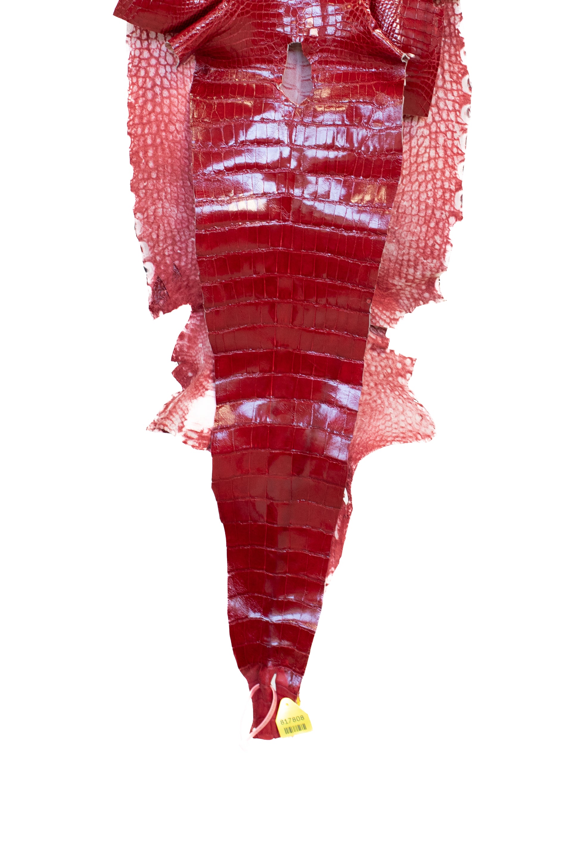 39 cm Grade 2/3 Red Glazed Wild American Alligator Leather - Tag: LA15-0028017