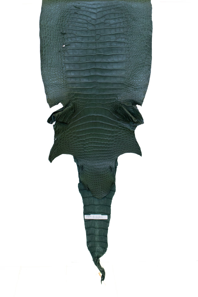 47 cm Grade 2/3 Forest Green Matte Wild American Alligator Leather - Tag: LA13-0029200