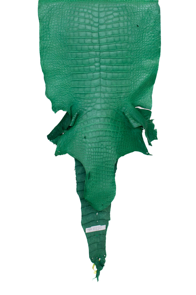 49 cm Grade 3/4 Kelly Green Matte Wild American Alligator Leather - Tag: LA22-0030154