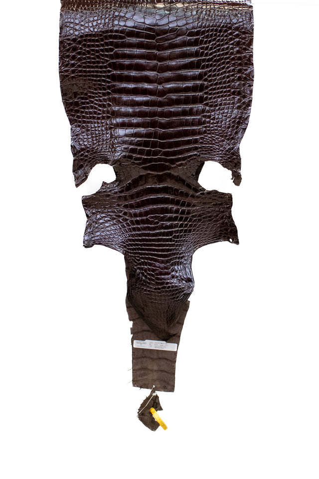 42 cm Grade 3/4 Chocolate Millennium Wild American Alligator Leather - Tag: LA22-0031098