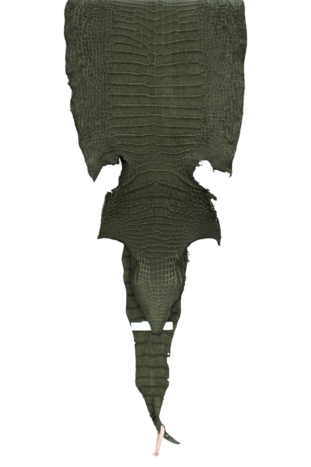 41 cm Grade 2/3 Olive Green Nubuck Wild American Alligator Leather - Tag: LA18-0031110