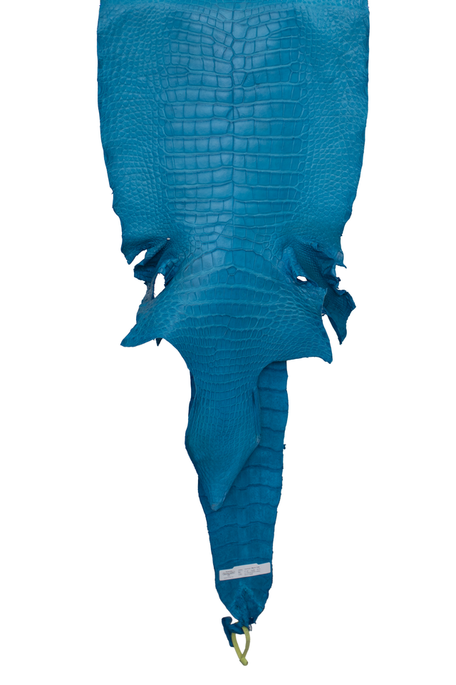 47 cm Grade 3/4 Ultramarine Matte Wild American Alligator Leather - Tag: LA22-0031147