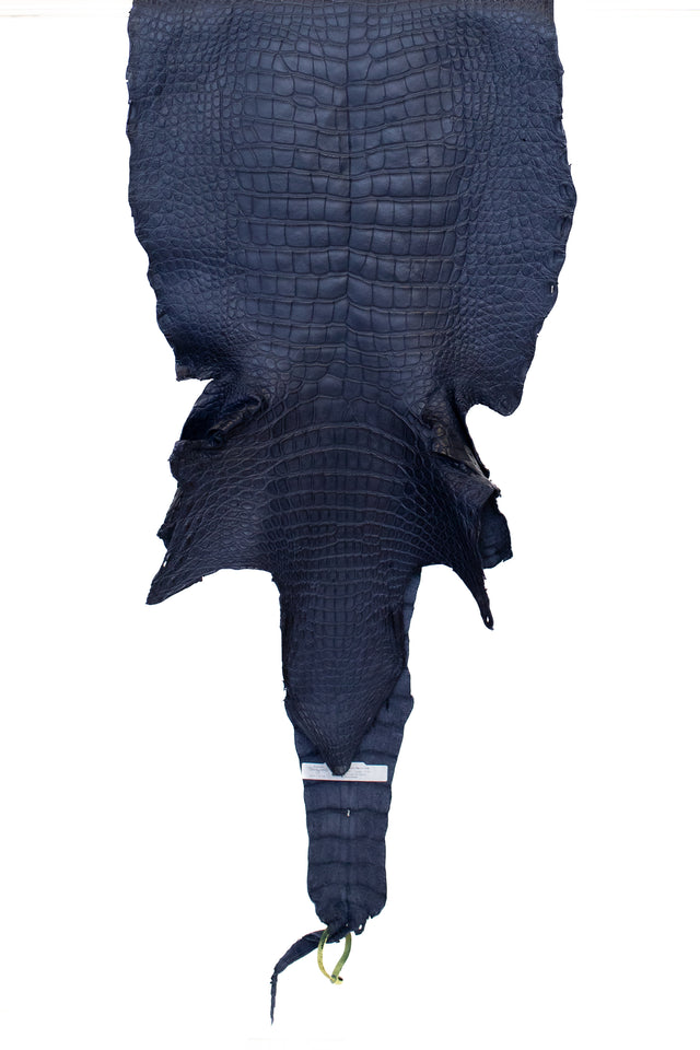 49 cm Grade 2/3 Navy Blue Matte Wild American Alligator Leather - Tag: LA22-0031191