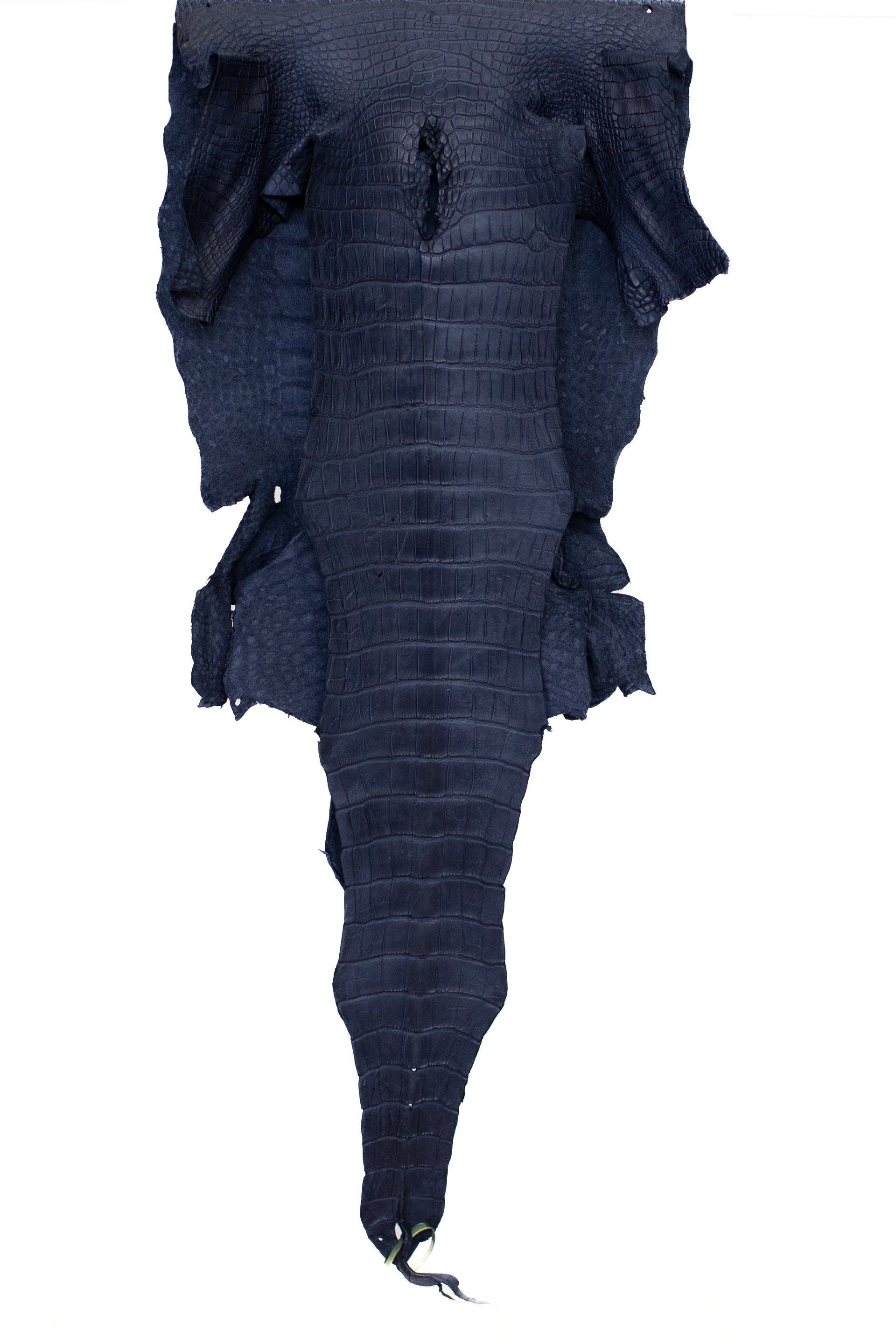 47 cm Grade 3/4 Navy Blue Matte Wild American Alligator Leather - Tag: LA22-0031207