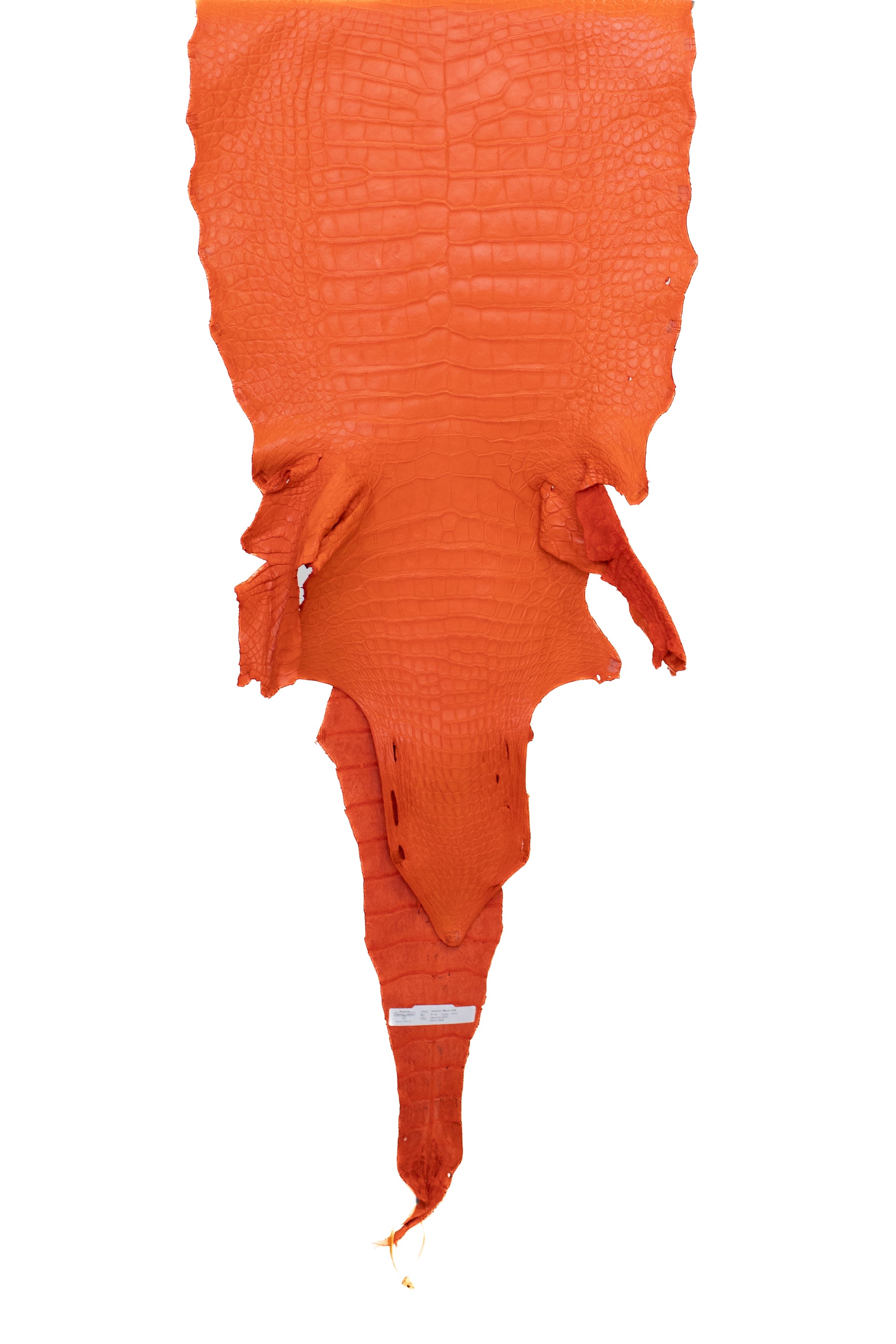 51 cm Grade 3/4 Orange Matte Wild American Alligator Leather - Tag: LA22-0031262