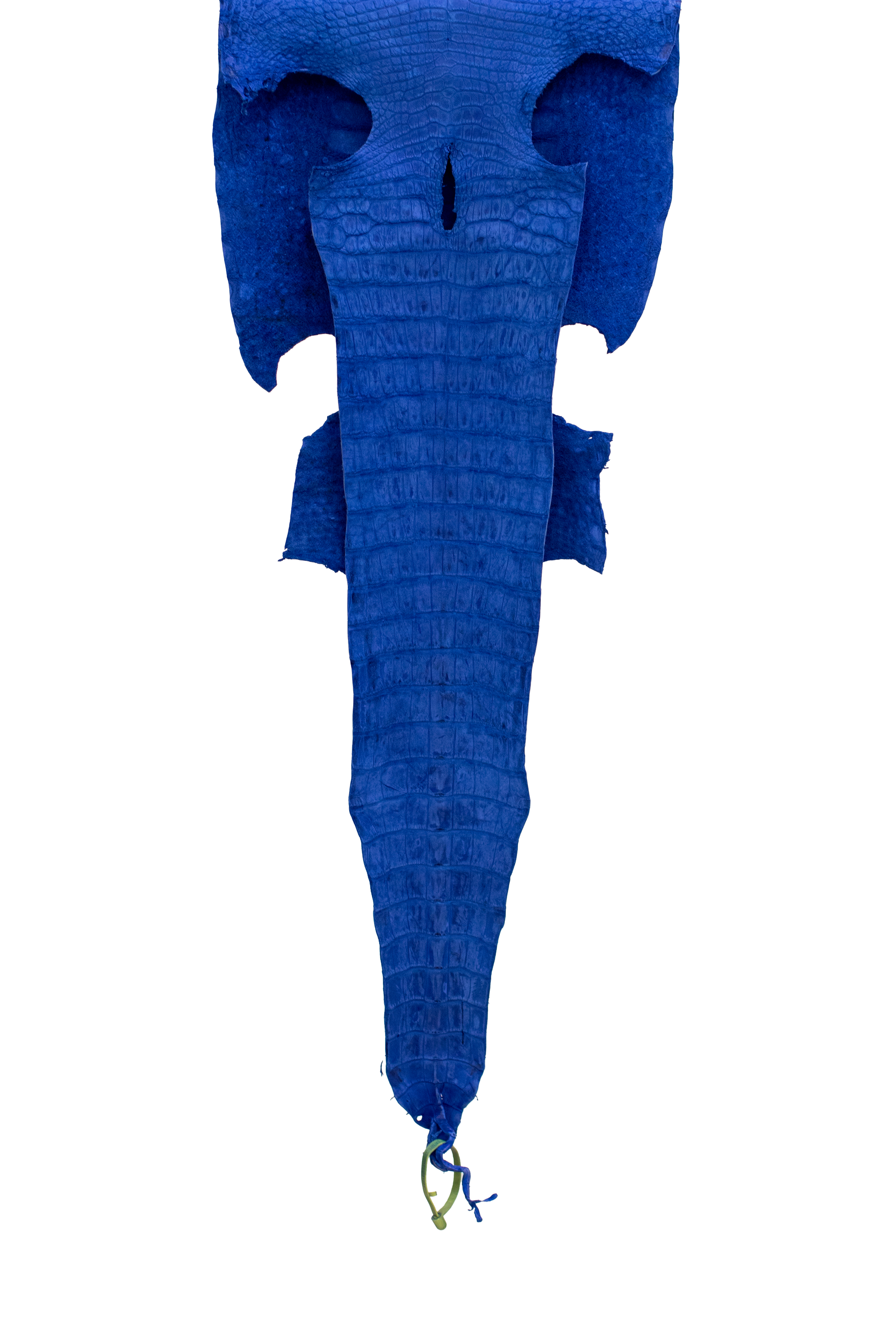 40 cm Grade 3/4 Navy Blue Nubuck Wild American Alligator Leather - Tag: LA22-0031267