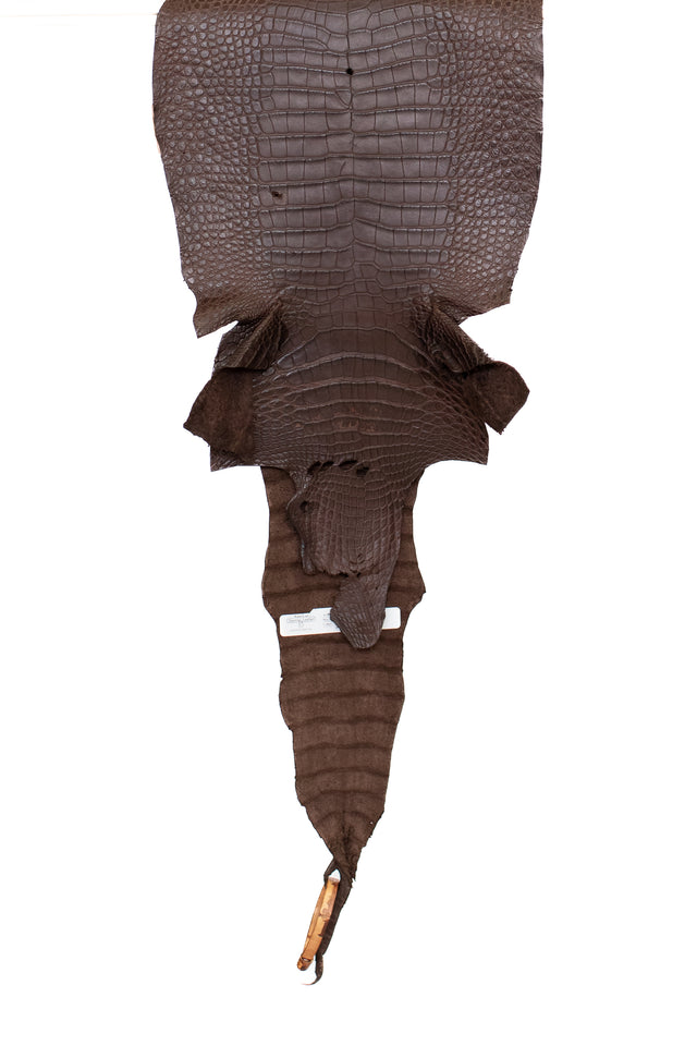 31 cm Grade 2/3 Chocolate Matte Wild American Alligator Leather - Tag: FL15-0032771