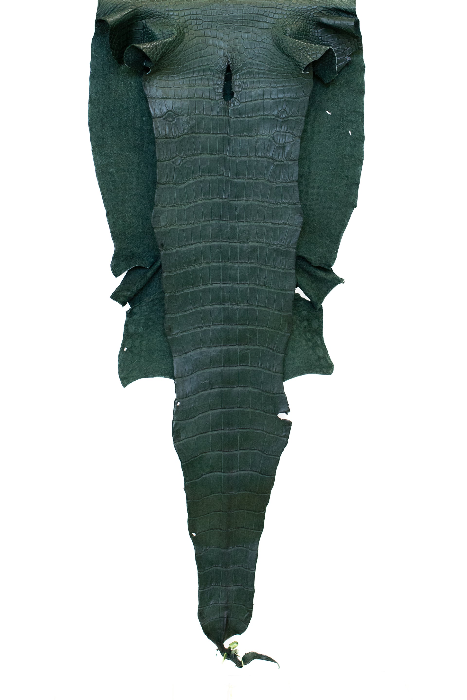 46 cm Grade 2/3 Forest Green Matte Wild American Alligator Leather - Tag: LA19-0034428