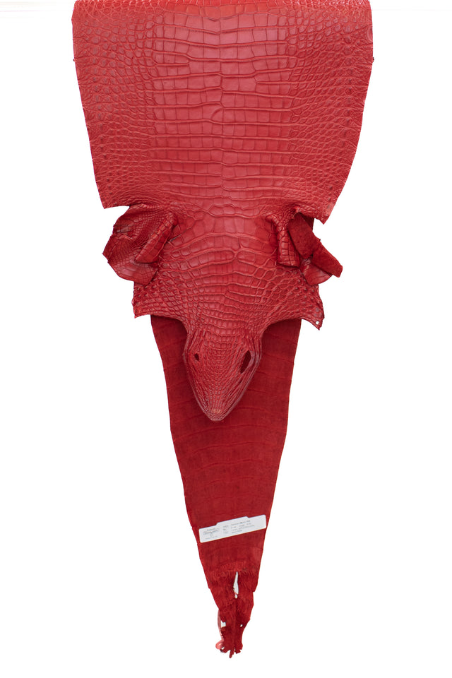 37 cm Grade 2/3 Candy Apple Red Matte Farm American Alligator Leather - Tag: FL18-0034555