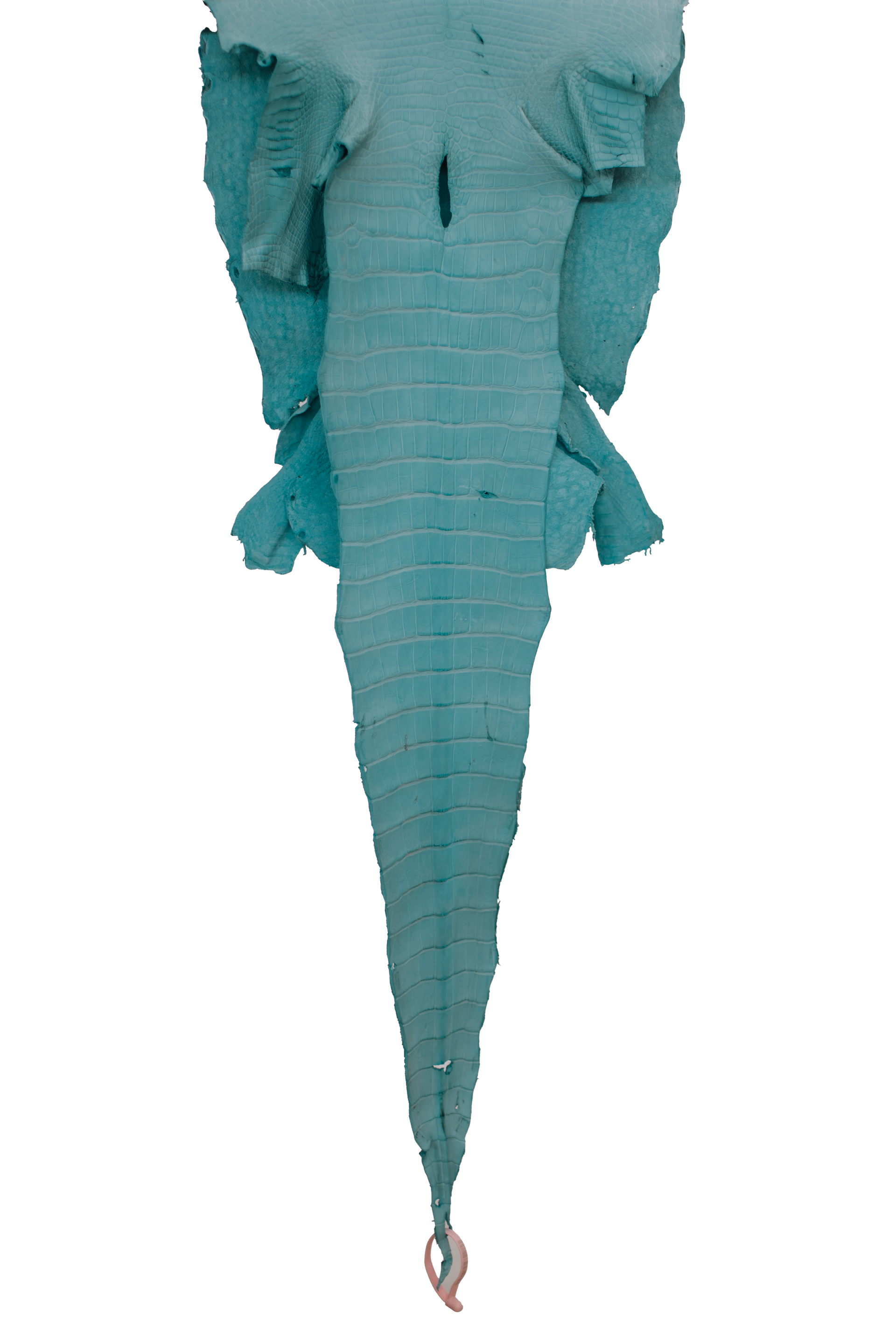 42 cm Grade 2/3 Aqua Matte Wild American Alligator Leather - Tag: LA18-0034827