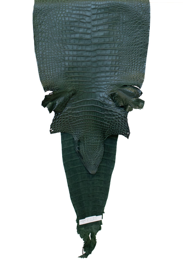 41 cm Grade 2/3 Forest Green Matte Farm American Alligator Leather - Tag: FL18-0034928