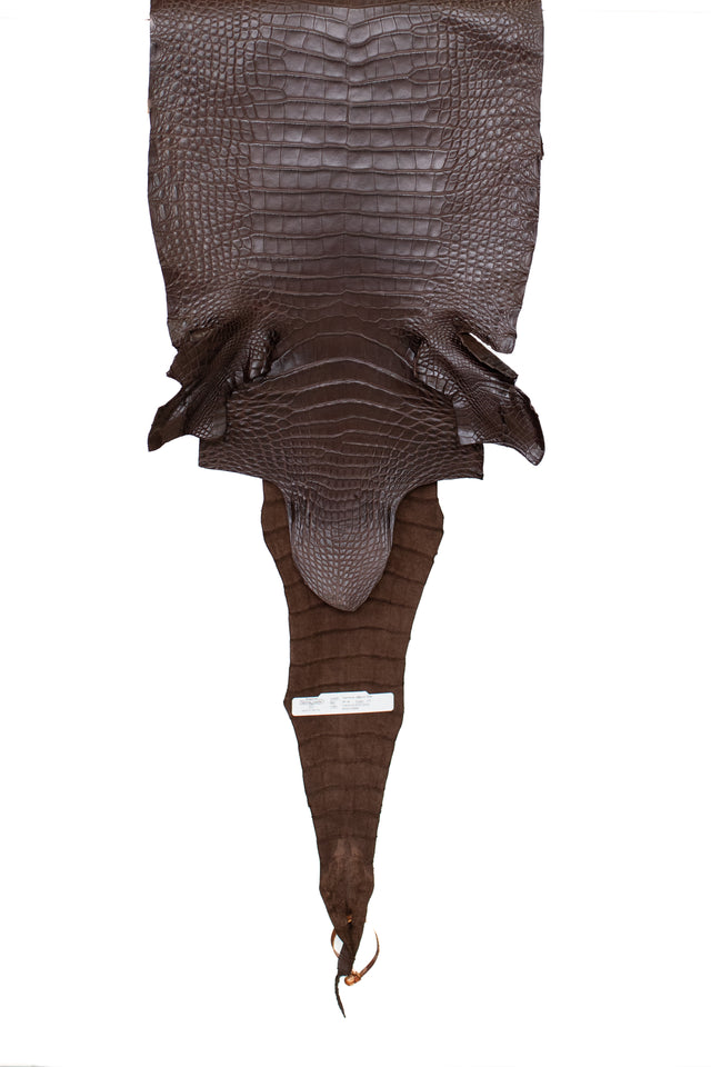 36 cm Grade 1/2 Chocolate Matte Farm Raised American Alligator Leather - Tag: FL17-0035314