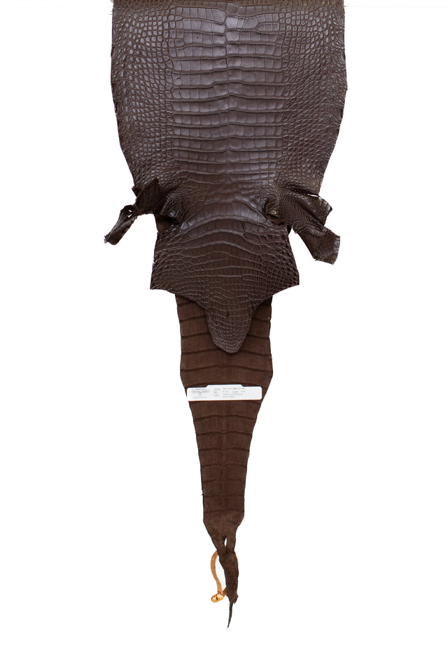 31 cm Grade 2/3 Chocolate Matte Farm Raised American Alligator Leather - Tag: FL17-0035710