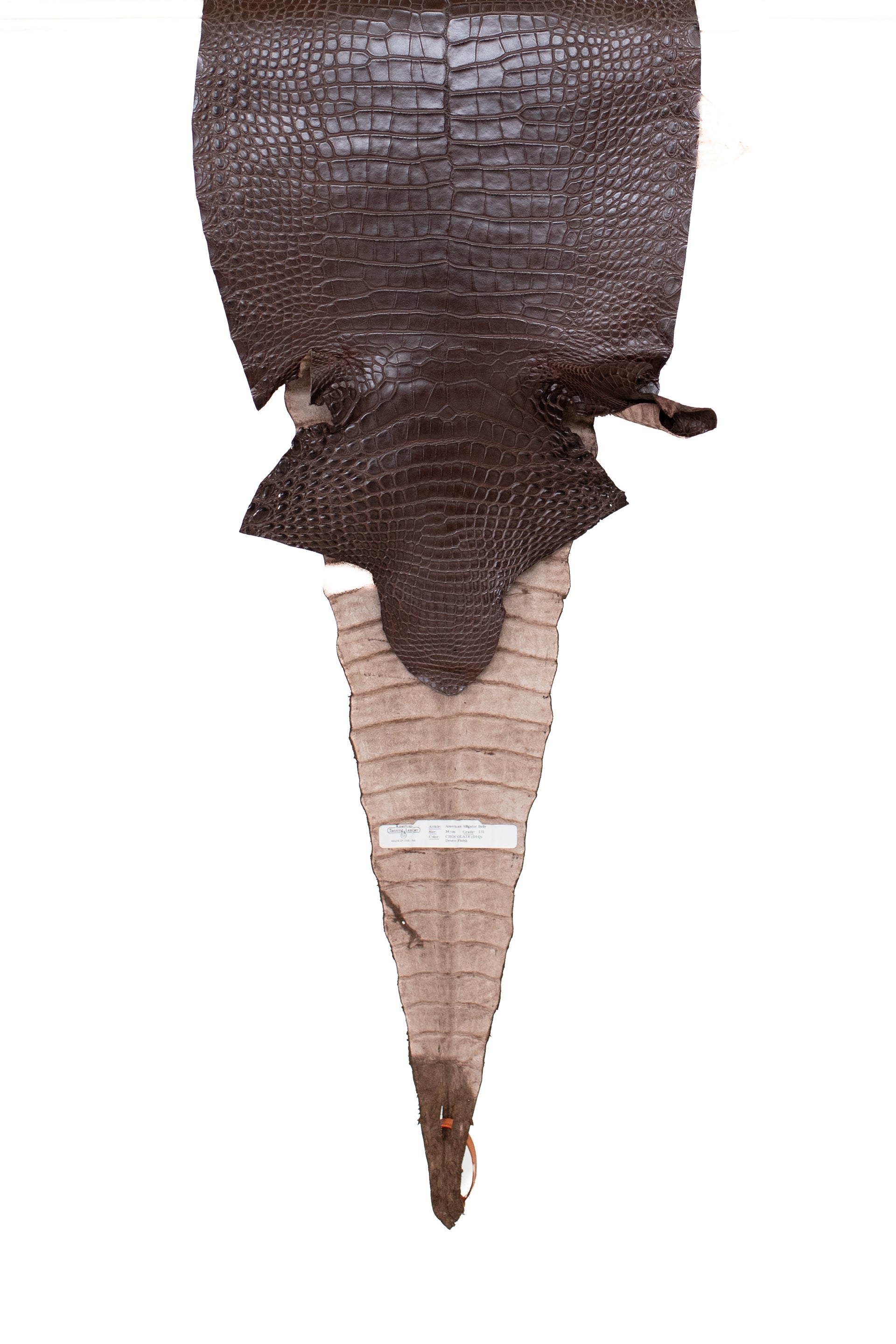 36 cm Grade 1/2 Chocolate Matte Farm Raised American Alligator Leather - Tag: FL17-0035971