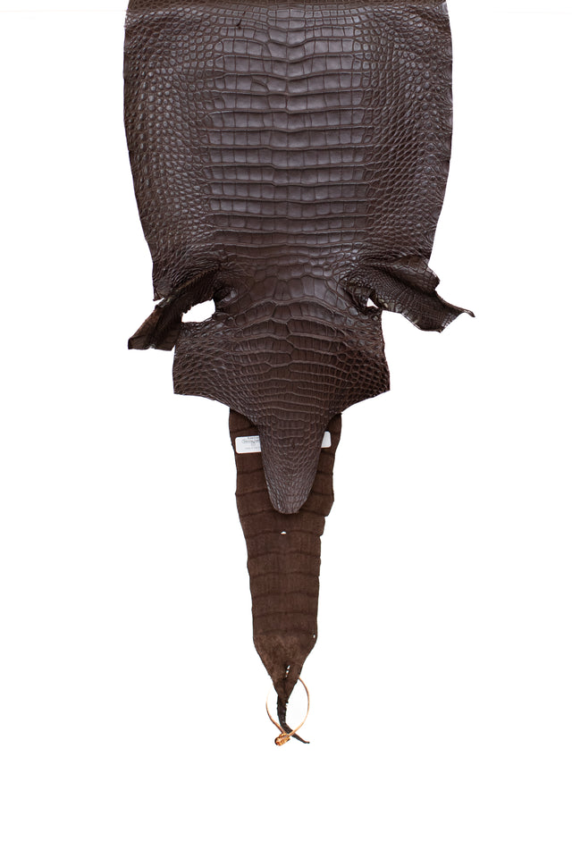34 cm Grade 2/3 Chocolate Matte Farm Raised American Alligator Leather - Tag: FL17-0035992