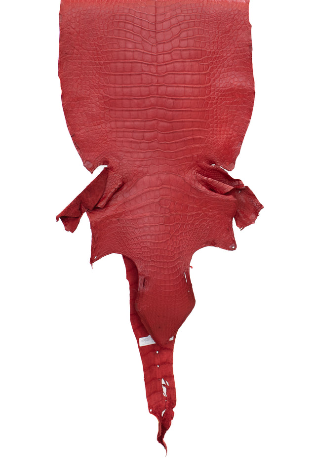 43 cm Grade 4/5 Candy Apple Red Matte Wild American Alligator Leather - Tag: LA22-0036333