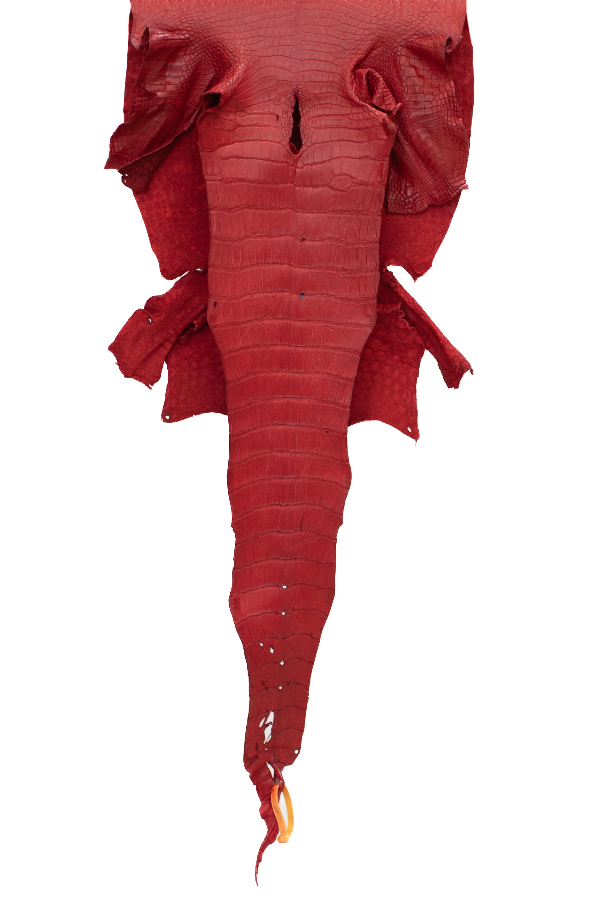 43 cm Grade 4/5 Candy Apple Red Matte Wild American Alligator Leather - Tag: LA22-0036333