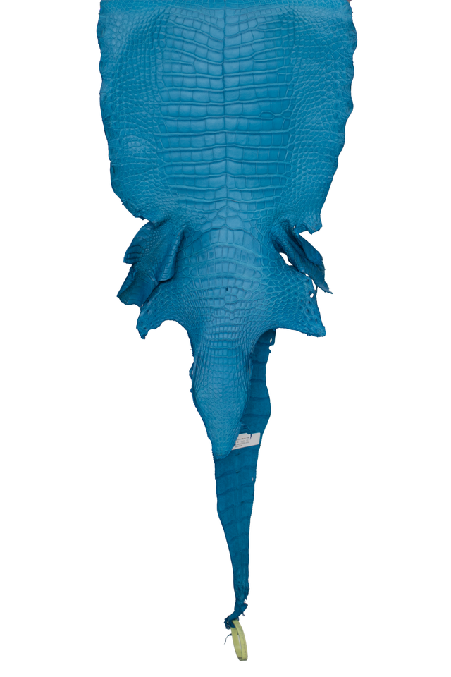 37 cm Grade 1/2 Ultramarine Matte Wild American Alligator Leather - Tag: LA19-0036805