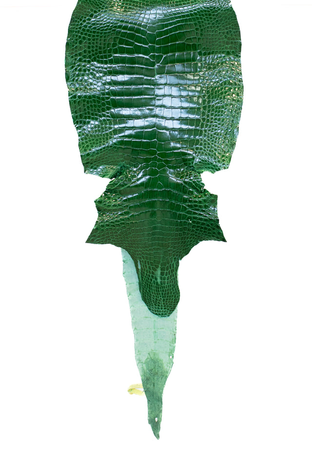 29 cm Grade 2/3 Kelly Green Glazed Wild American Alligator Leather - Tag: LA19-0037216