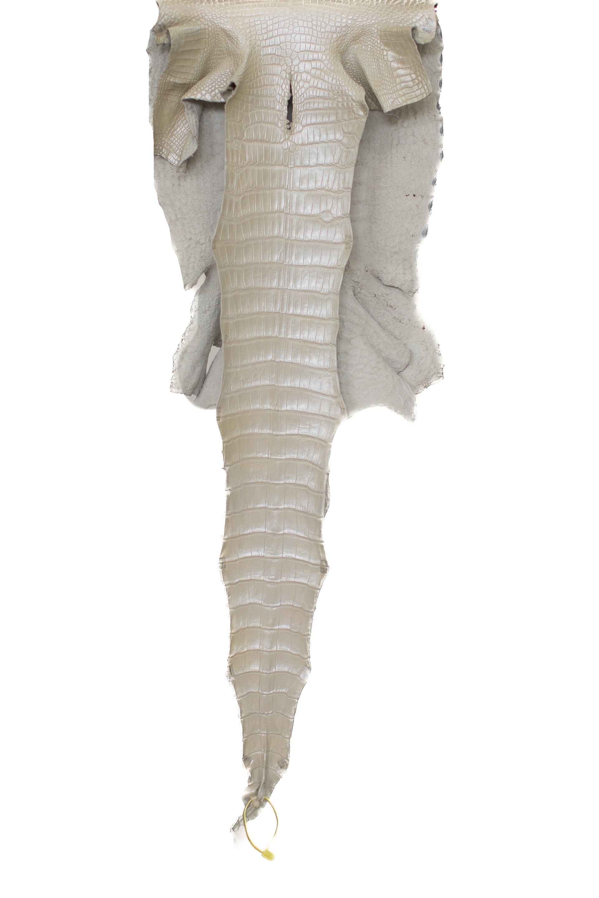 36 cm Grade 1 Ivory Pearl Matte Wild American Alligator Leather - Tag: LA19-0037473