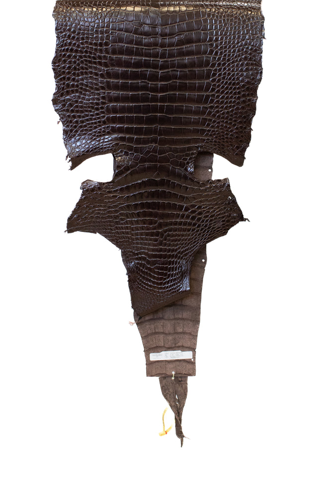 46 cm Grade 2/3 RL Chocolate Millennium Wild American Alligator Leather - Tag: LA19-0037491