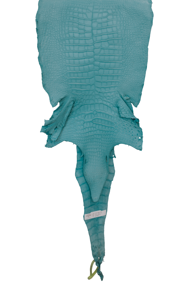 36 cm Grade 2/3 Aqua Matte Wild American Alligator Leather - Tag: LA19-0037576