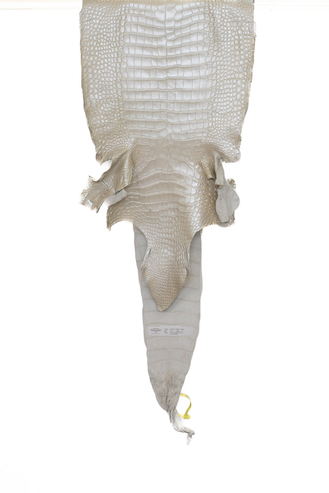 36 cm Grade 1/2 Ivory Pearl Matte Wild American Alligator Leather - Tag: LA19-0037589