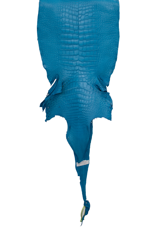 37 cm Grade 1/2 Ultramarine Matte Wild American Alligator Leather - Tag: LA19-0037598