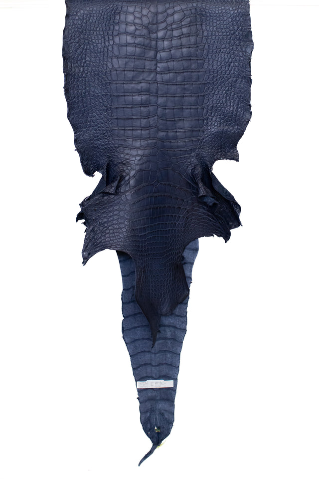 48 cm Grade 2/3 Navy Blue Matte Wild American Alligator Leather - Tag: LA22-0038795