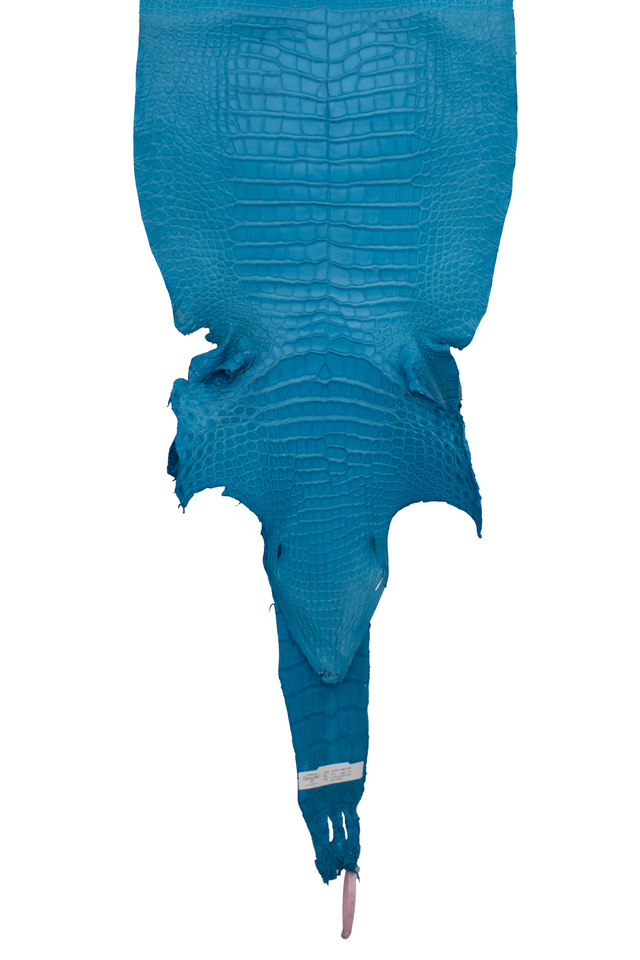 40 cm Grade 2/3 Ultramarine Matte Wild American Alligator Leather - Tag: LA18-0041581