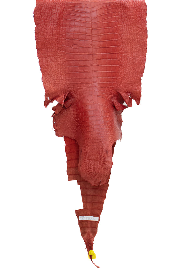 56 cm Grade 1/2 Candy Apple Red Matte Wild American Alligator Leather - Tag: LA14-0041699