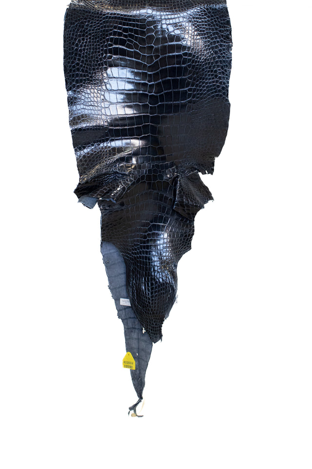 44 cm Grade 1/2 Navy Blue Glazed Wild American Alligator Leather - Tag: LA16-0043193