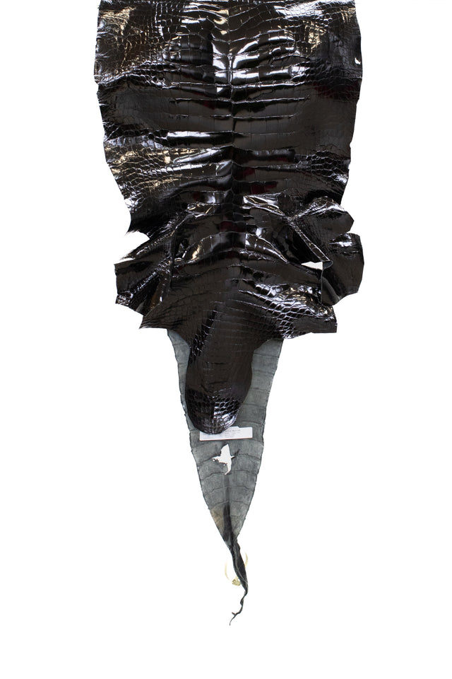 44 cm Grade 1/2 Black Glazed Wild American Alligator Leather - Tag: LA13-0043275