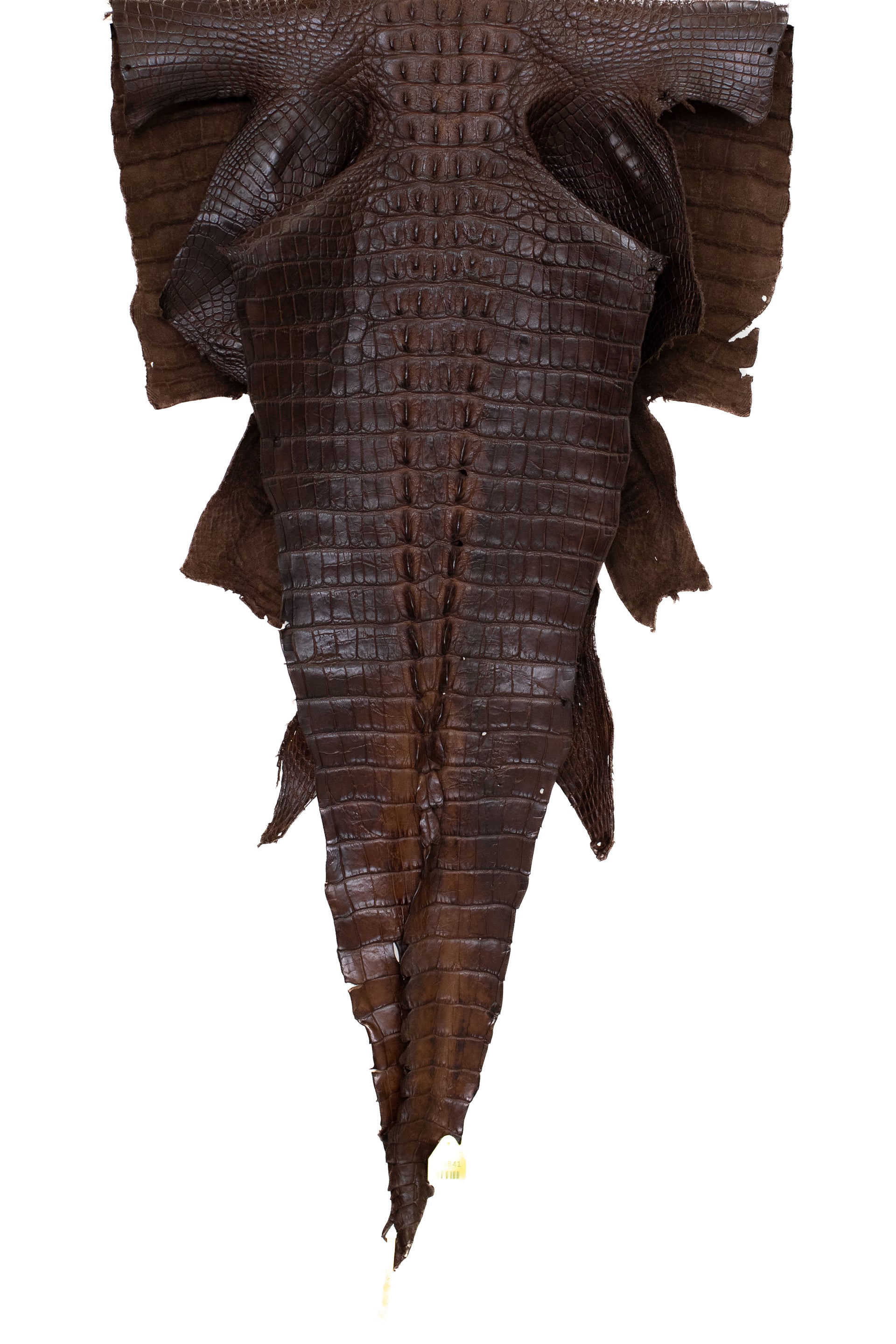 75 cm Grade 1 Chocolate Matte Wild American Alligator Hornback Leather - Tag: LA09-0043661
