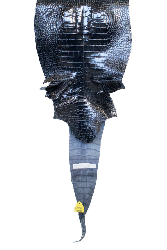 42 cm Grade 1/2 Navy Blue Glazed Wild American Alligator Leather - Tag: LA16-0051022
