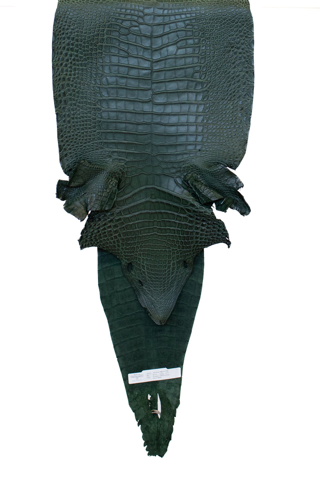 36 cm Grade 2/3 Forest Green Matte Farm American Alligator Leather - Tag: FL18-0052010