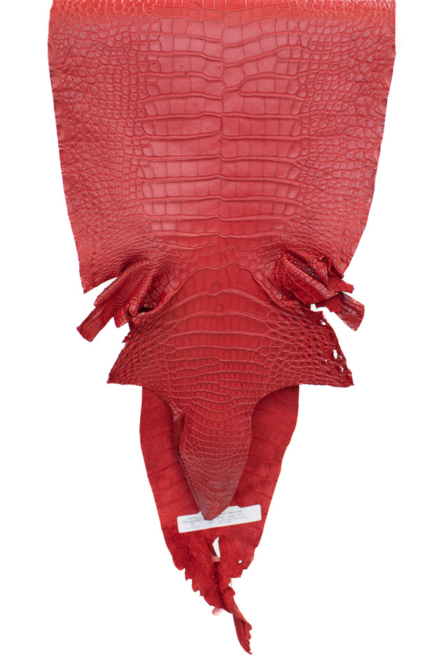 35 cm Grade 3/4 Candy Apple Red Matte Farm American Alligator Leather - Tag: FL18-0052089
