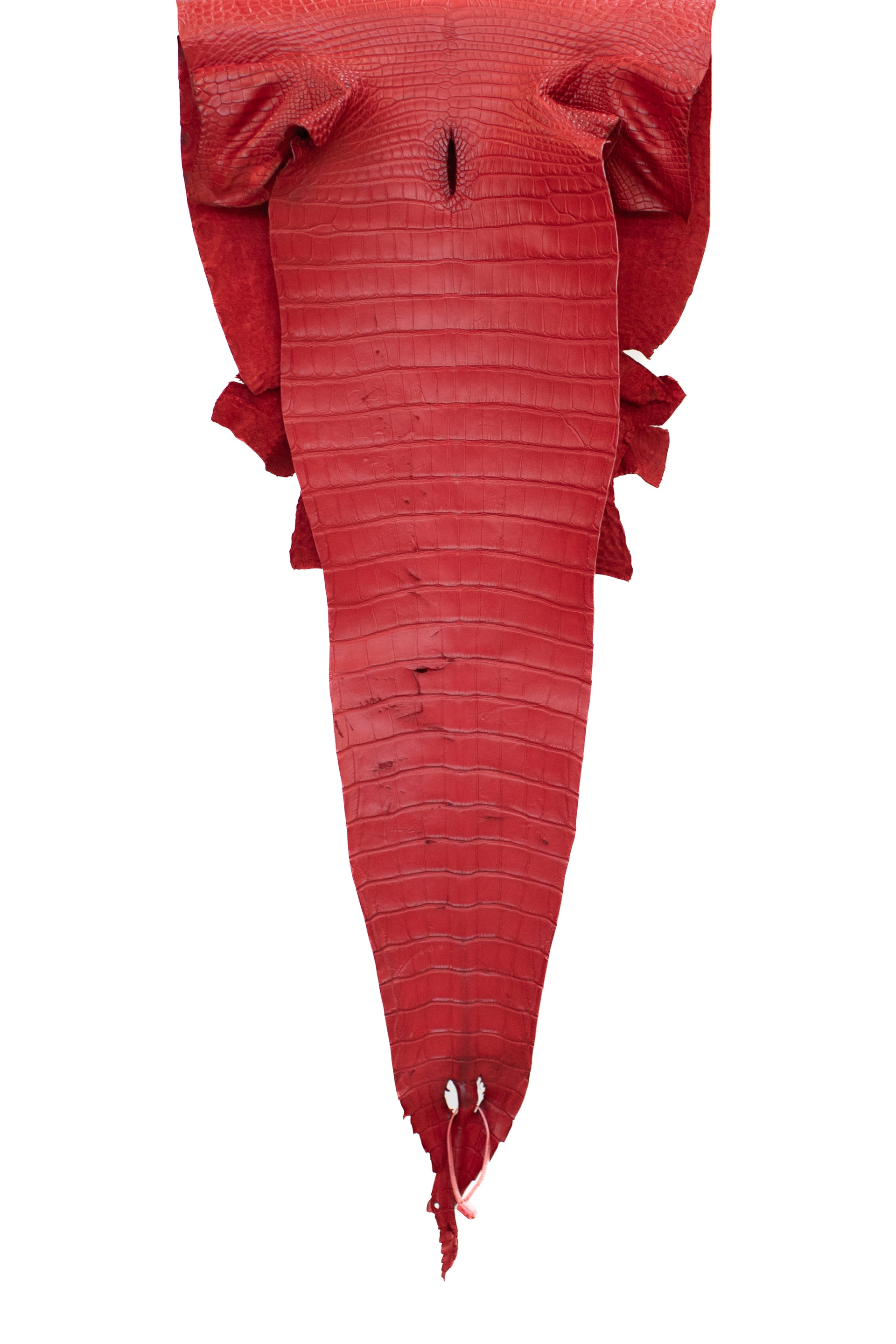 39 cm Grade 2/3 Candy Apple Red Matte Farm American Alligator Leather - Tag: FL18-0052181