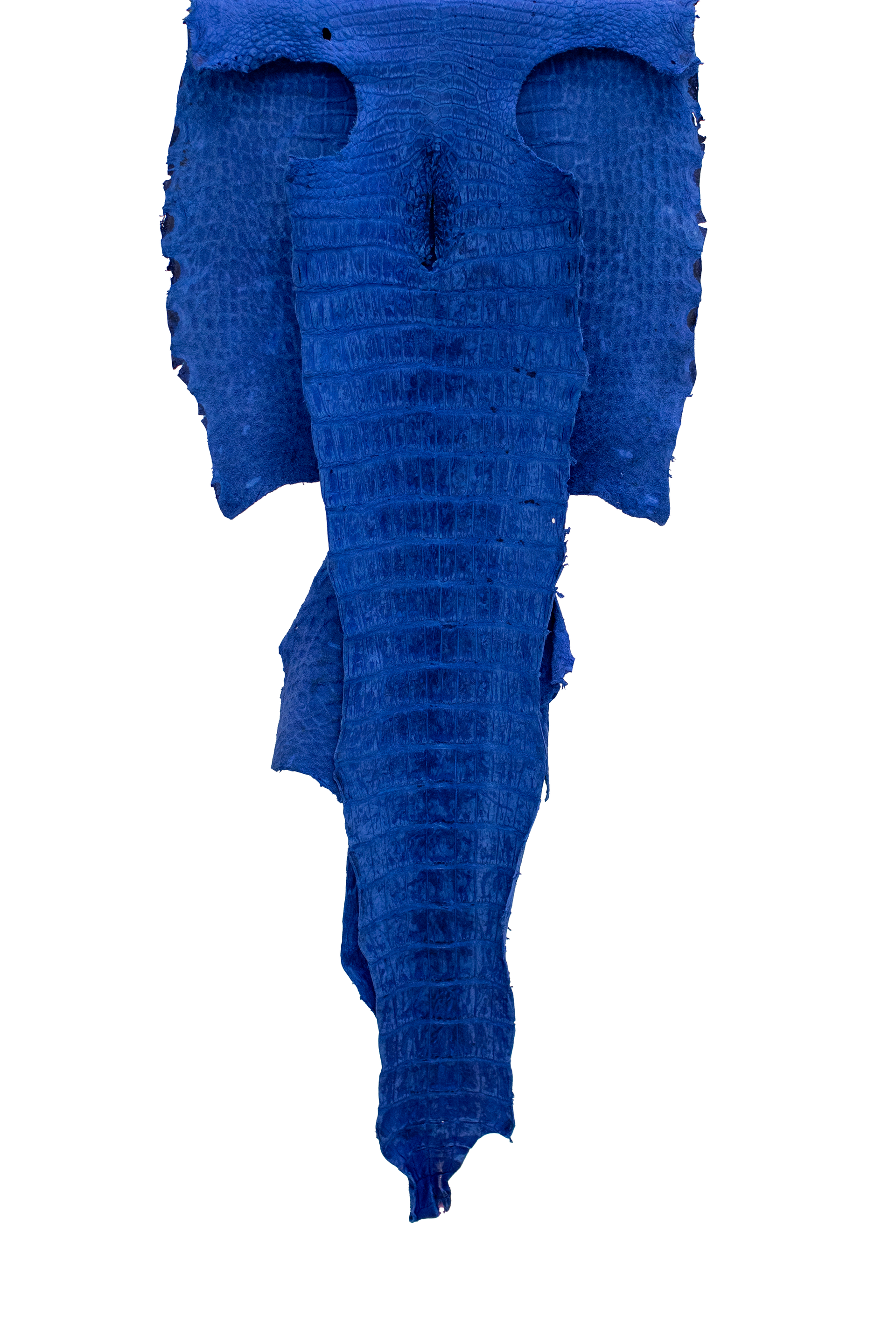 60 cm Grade 3/4 Navy Blue Nubuck Wild American Alligator Leather - Tag: FL21-0053091
