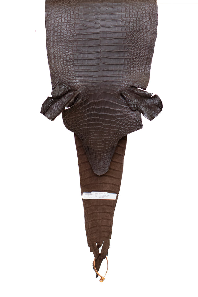 30 cm Grade 2/3 Chocolate Matte Wild American Alligator Leather - Tag: FL09-0058144
