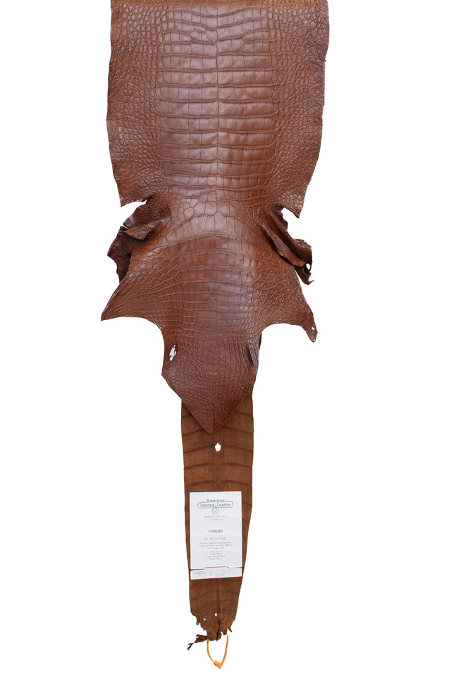 41 cm Grade 3/4 Cigar Matte Wild American Alligator Leather - Tag: FL23-0078265