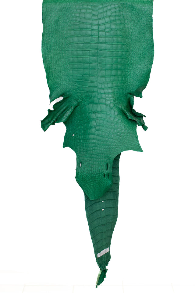 50 cm Grade 4/5 Kelly Green Matte Wild American Alligator Leather - Tag: FL23-0078275