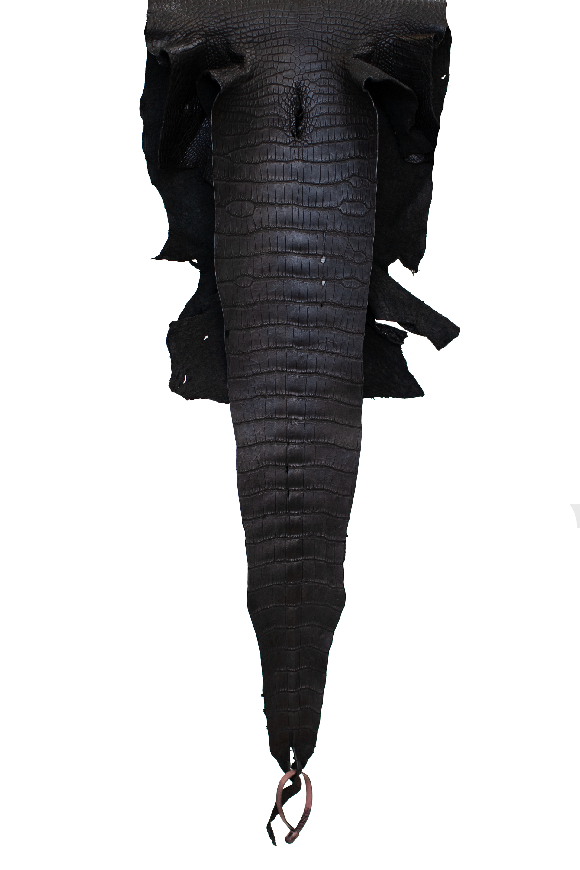 31 cm Grade 3/4 Black Matte Wild American Alligator Leather - Tag: LA21-0101403