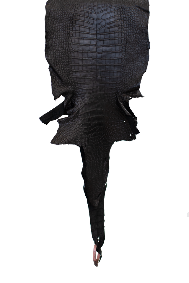 31 cm Grade 3/4 Black Matte Wild American Alligator Leather - Tag: LA21-0101403