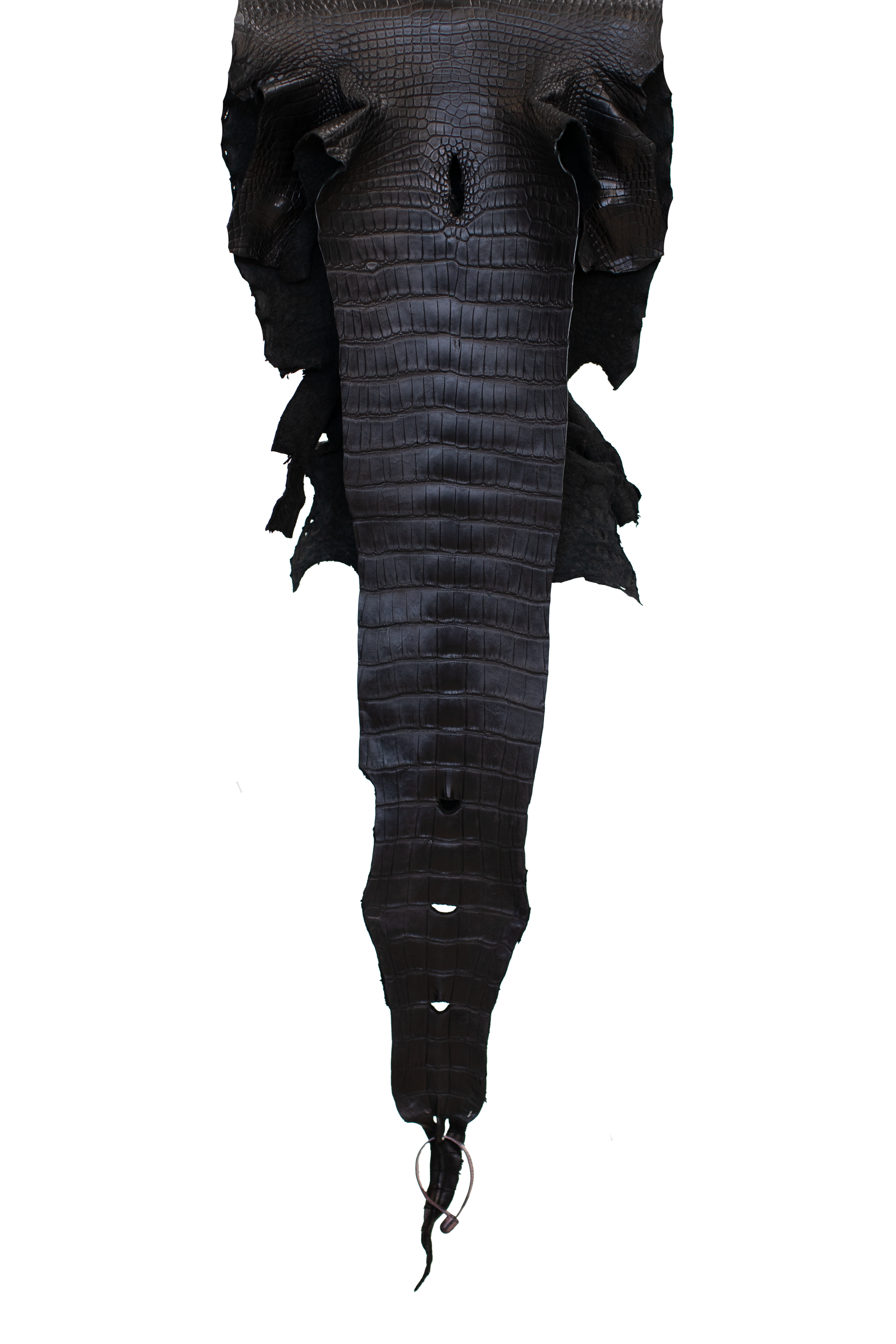 33 cm Grade 3/4 Black Matte Wild American Alligator Leather - Tag: LA21-0101460