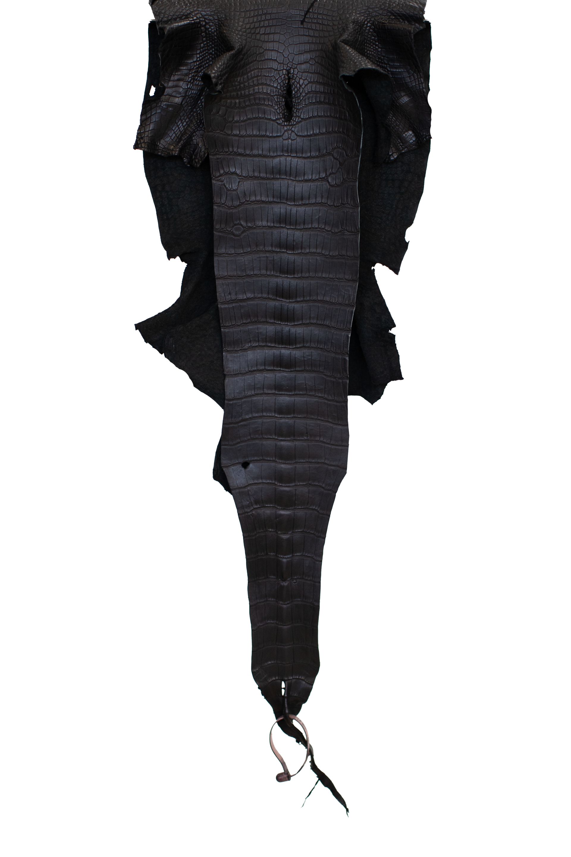 30 cm Grade 3/4 Black Matte Wild American Alligator Leather - Tag: LA21-0101549
