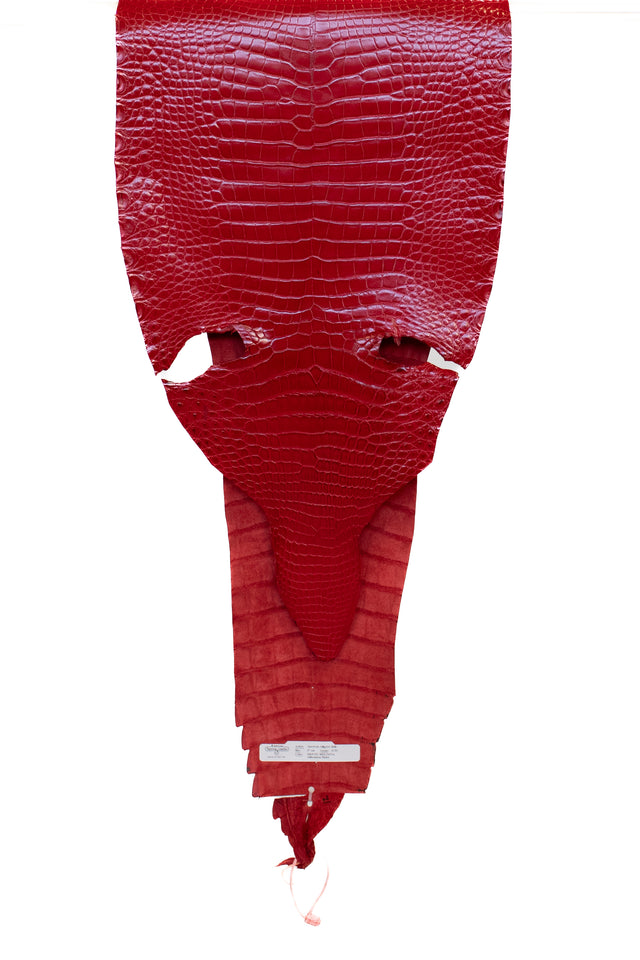 37 cm Grade 2/3 Bright Red Millennium Certified Farm Raised American Alligator Leather - Tag: LA18-0268251
